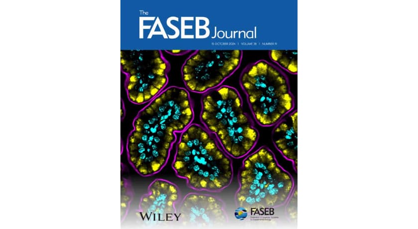 The FASEB Journal High Impact Research in Biology and Biomedicine